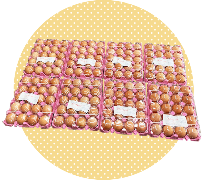 ココットレッド卵20パック×8