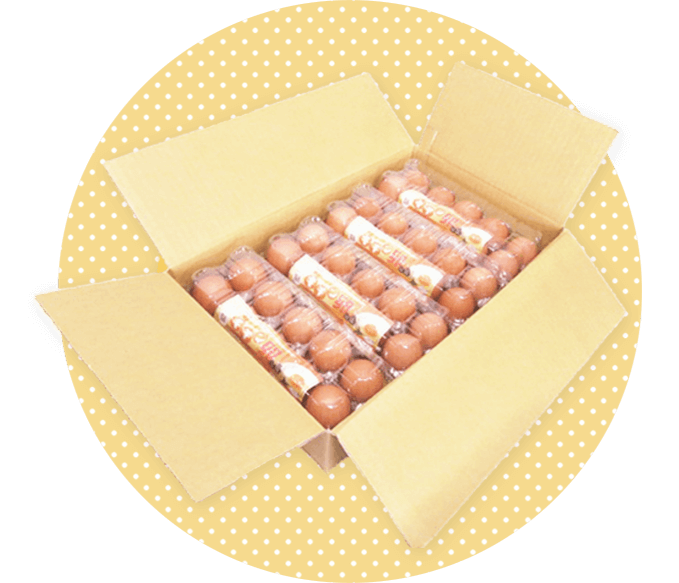 キチン卵40パック