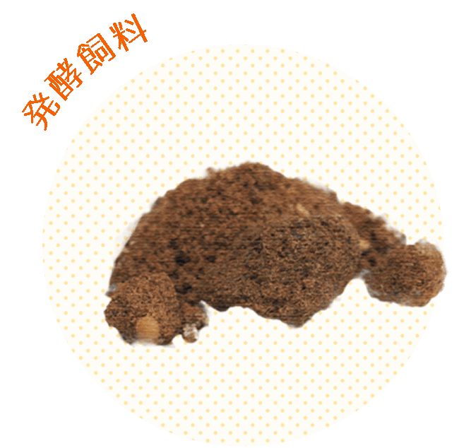 発酵飼料