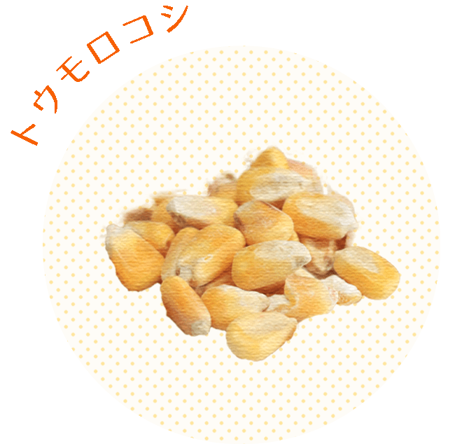 トウモロコシ