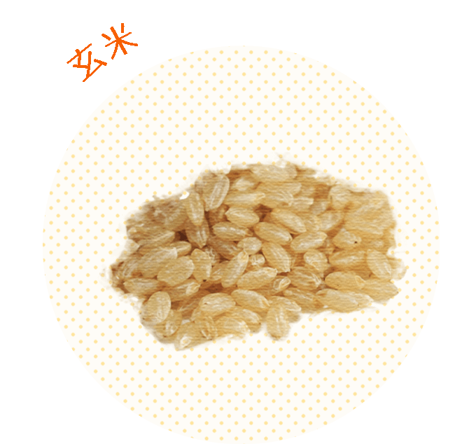 玄米