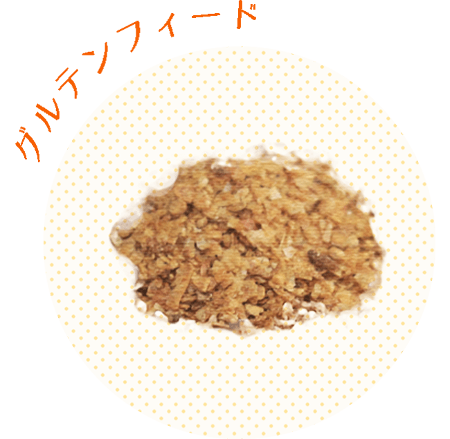 グルテンフィールド