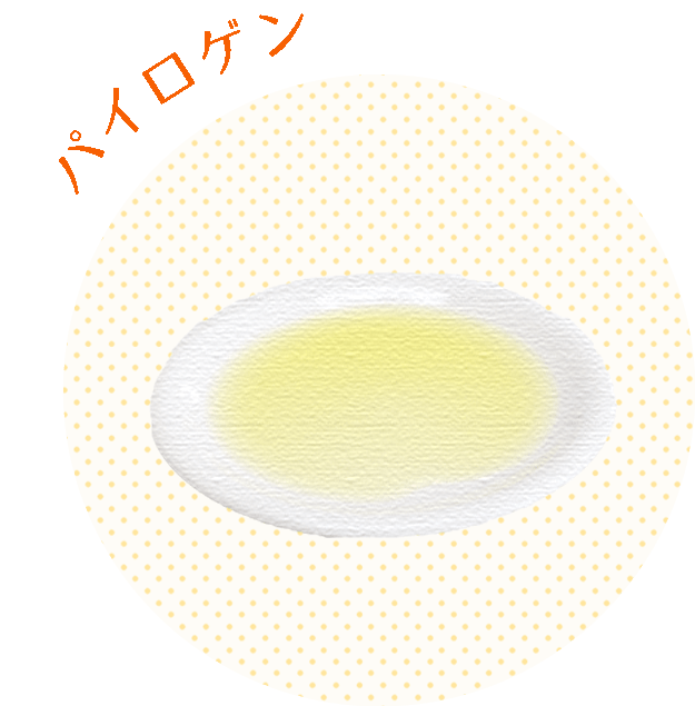 パイロゲン