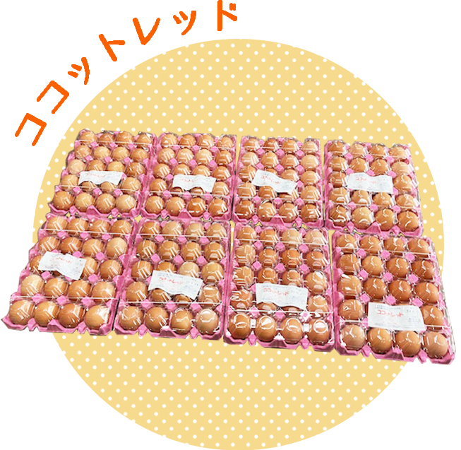 ココットレッド